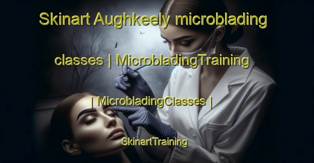 Skinart Aughkeely microblading classes | MicrobladingTraining | MicrobladingClasses | SkinartTraining-Ireland